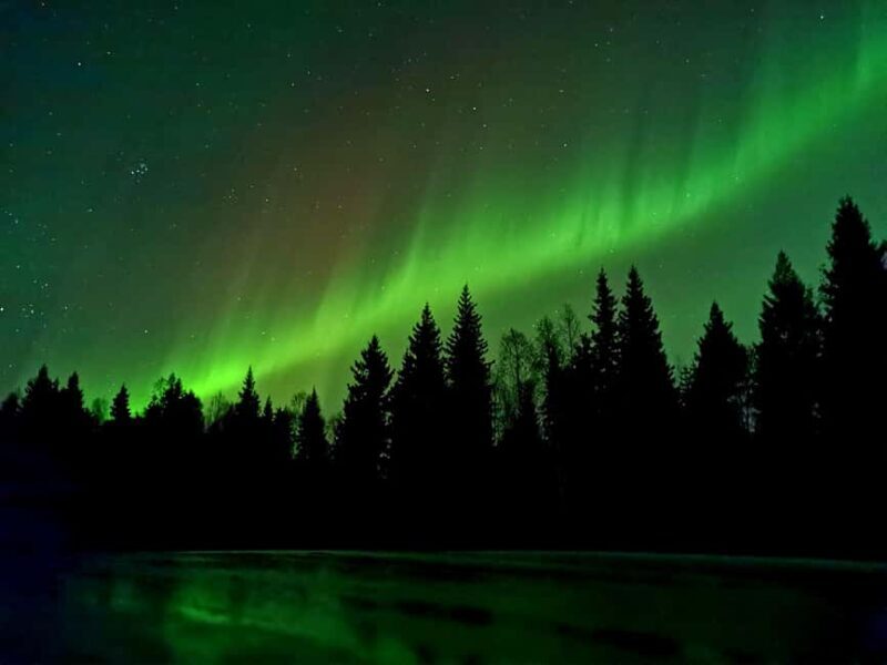 Aurora BBQ in the Private Place in Rovaniemi - Final Thoughts