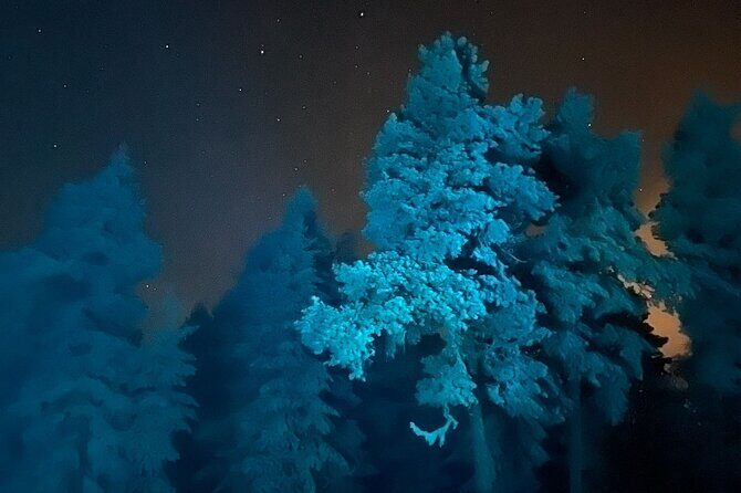 Aurora Borealis Dinner in a Glass Igloo - The Realities: What Travelers Are Saying