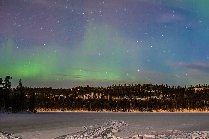 Aurora Hunt for 3 Hours in Saariselkä - Price and Value