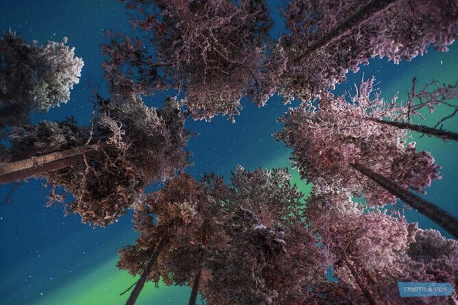 Aurora Hunt for 3 Hours in Saariselkä - Frequently Asked Questions