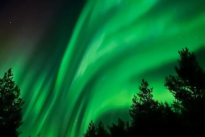 Aurora Hunt with BBQ in Rovaniemi - What to Expect from the Aurora Hunt with BBQ Tour