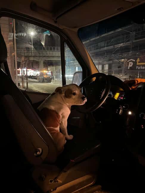 Aurora Optimum: Best 3-Night Forecast - The Cost and What You’re Getting