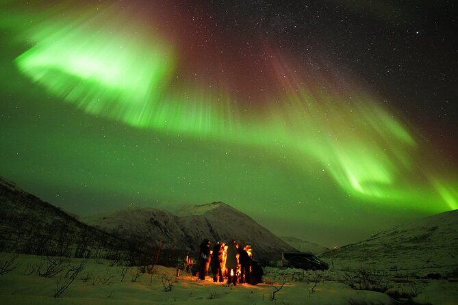Aurora tour with free portrait and bonfire - Spotting the aurora: what the best guides actually do