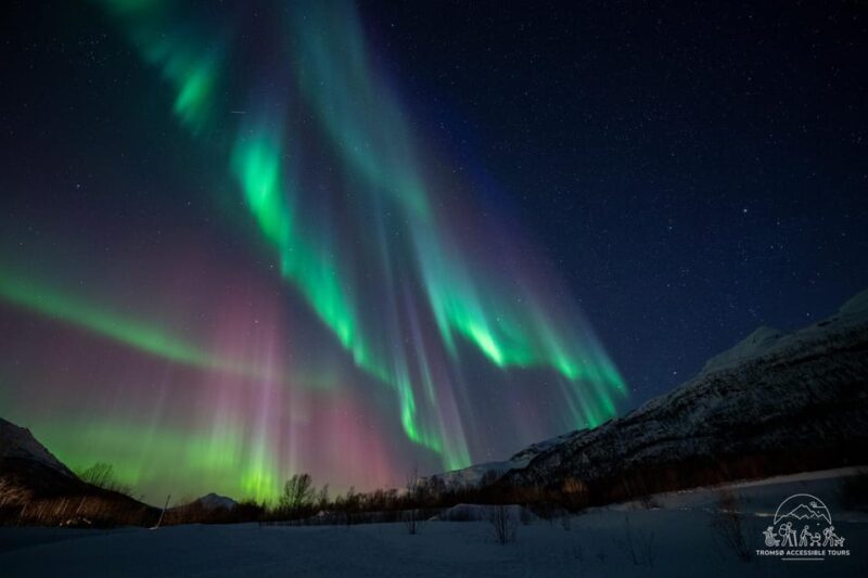 Aurora Tour For All with Tromsø Accessible Tours - Who Should Consider This Tour?