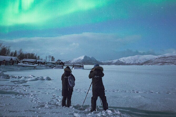 Aurora Tour with Dinner in Abisko - Key Points