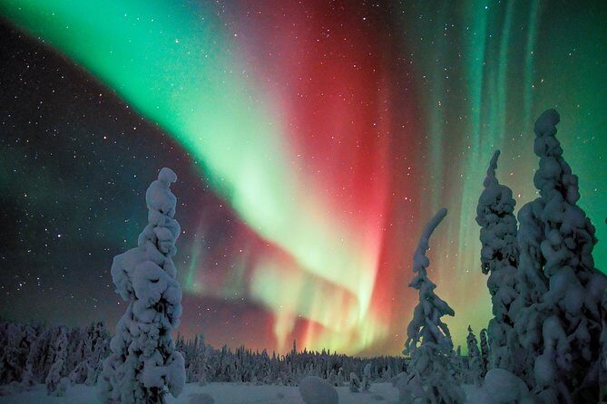 Auroras in Saariselkä  Northern Lights Photo Tour by Car and on Foot - The Sum Up: Is This Tour Right for You?