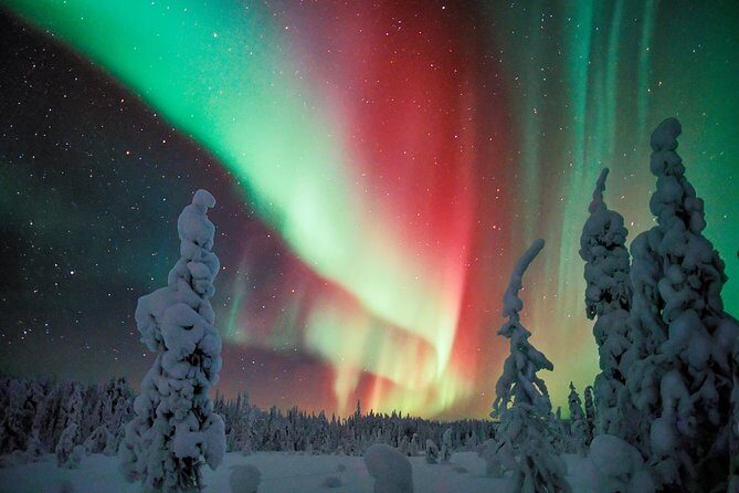 Auroras - Northern Lights Tours by Aurora Experts - Rovaniemi - A Practical Look at the Tour