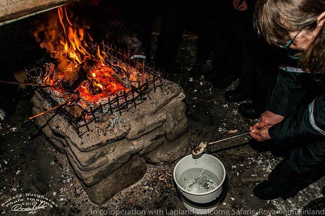 Auroras - Northern Lights Tours by Aurora Experts - Rovaniemi - Pricing and Value