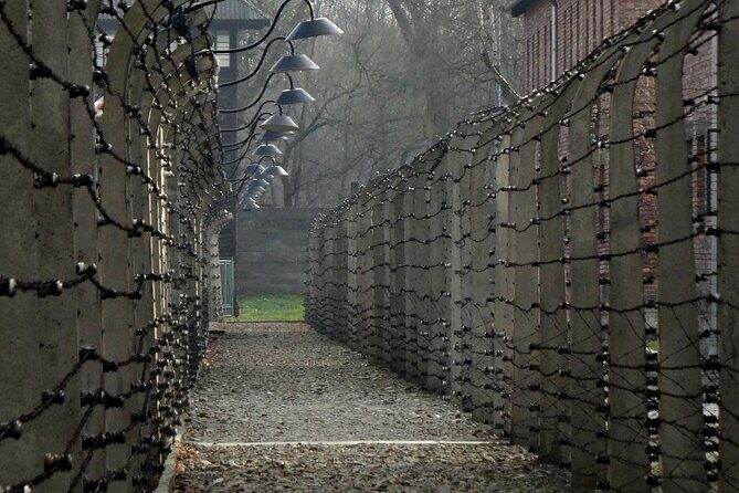 Auschwitz and Birkenau Guided Tour from Krakow - Who Would This Tour Suit?