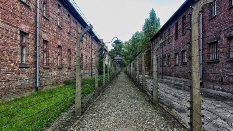 Auschwitz-Birkenau and Krakow Private Car Trip from Katowice - The Krakow Free Time