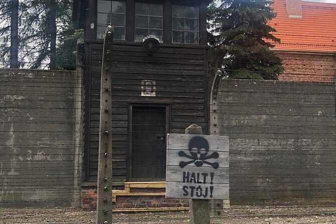Auschwitz-Birkenau and Wieliczka Salt Mine Museum Guided Tour from Krakow - What the Tour Entails: A Deep Dive