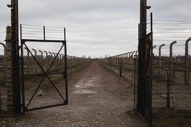 Auschwitz-Birkenau Best Value Shared Tour - Final Thoughts: Who Should Consider This Tour?