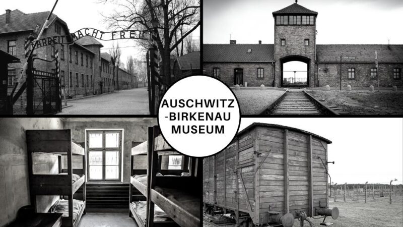Auschwitz-Birkenau Guided Tour & Transfer from Krakow - Transportation and Timing: Why It Matters