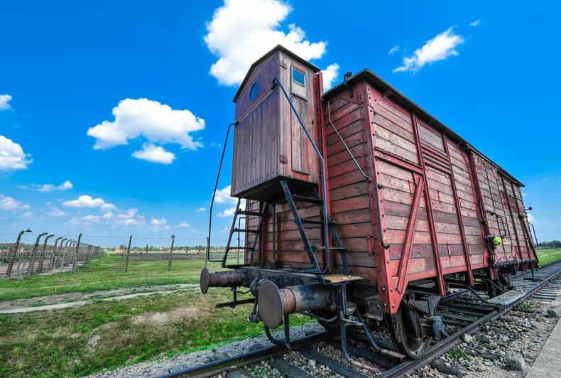 Auschwitz-Birkenau: Guided Tour with Fast Track Ticket - What to Expect from the Auschwitz-Birkenau Guided Tour
