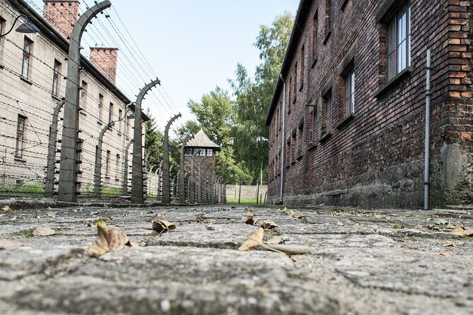 Auschwitz & Birkenau: Live-Guided Tour with Transportation and Hotel Pickup - The Itinerary: What to Expect