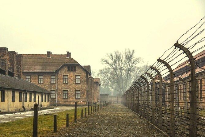 Auschwitz Birkenau Memorial and Museum group tour from Krakow - Who is this tour good for?