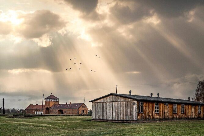 Auschwitz-Birkenau Memorial and Museum Guided Tour - Private Transport - Key Points