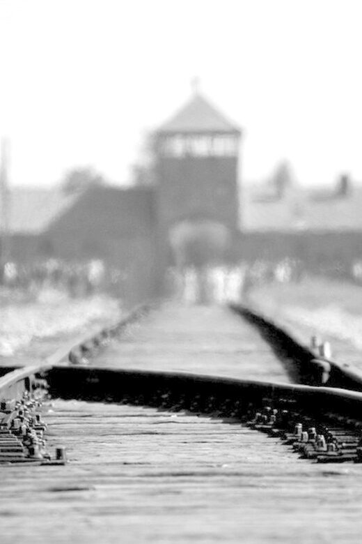Auschwitz-Birkenau: Memorial Entry Ticket and Guided Tour - Who Will Love This Tour?