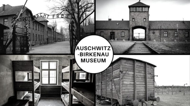 Auschwitz-Birkenau: Museum Entry Ticket with Guided Tour - Final Thoughts