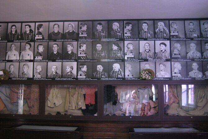 Auschwitz Birkenau Museum Tour from Krakow - Who Should Consider This Tour?