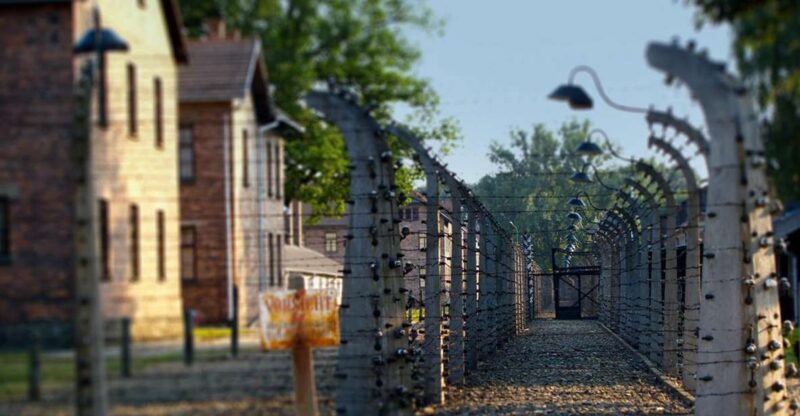 Auschwitz-Birkenau Private Tour from Katowice & Transport - Authentic Perspectives from Travelers