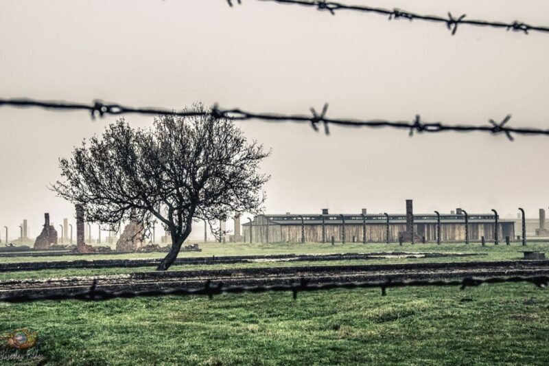 Auschwitz-Birkenau: Skip-the-Line Entry Ticket & Guided Tour - Exploring Auschwitz-Birkenau: What to Expect