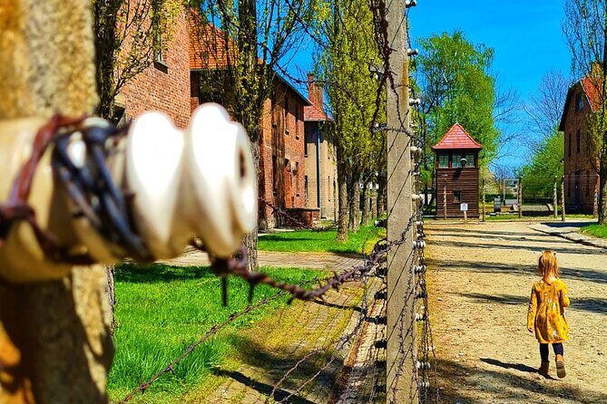 Auschwitz-Birkenau Tour with Private Transport - Key Points
