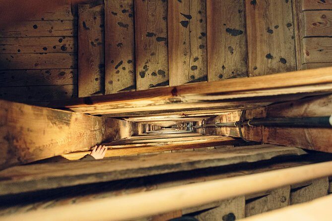 Auschwitz-Birkenau & Wieliczka in one day Best Value Shared Tour - Practical Details & Tips