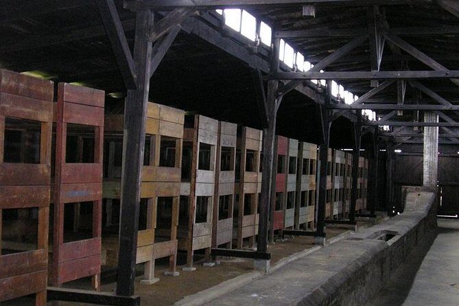 Auschwitz Guided Tour - Reflection and Respect