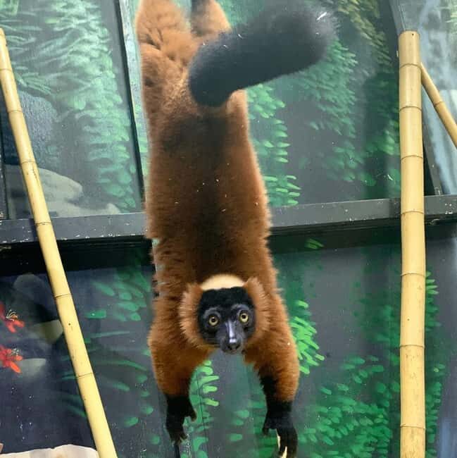 Austin Aquarium Entry Ticket - The Sum Up