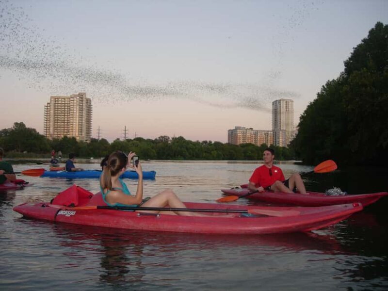 Austin: Guided Bat-Watching Kayak Tour - Key Points
