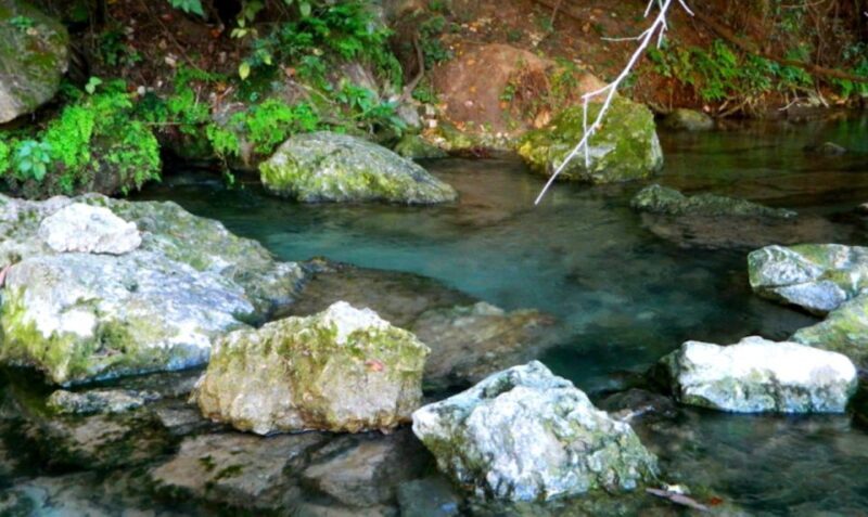 Austin: Journey to the Springs Guided Tour - Breaking Down the Itinerary