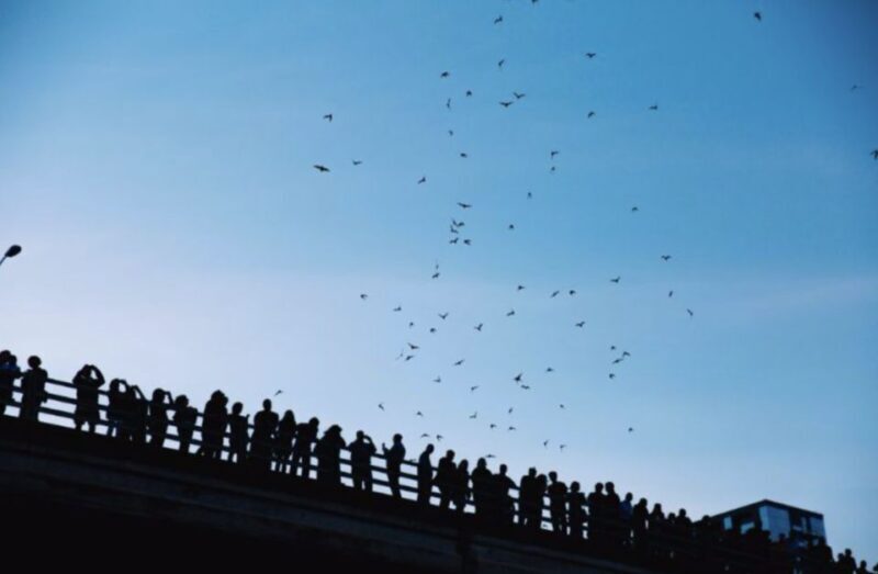 Austin Premium Driving Tour with Sunset Boat Cruise - What Do People Love Most?