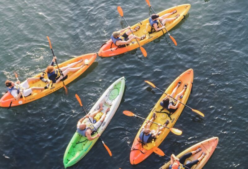 Austin: Single or Double Kayak Rental - Why Choose This Kayak Rental?