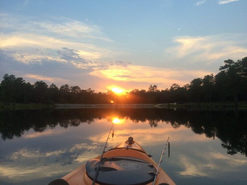 Austin: Sunset Bat Watching Kayak Tour - Who Should Consider This Tour?
