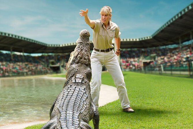 Australia Zoo Day Trip from Brisbane - The Full Scoop on the Tour Experience