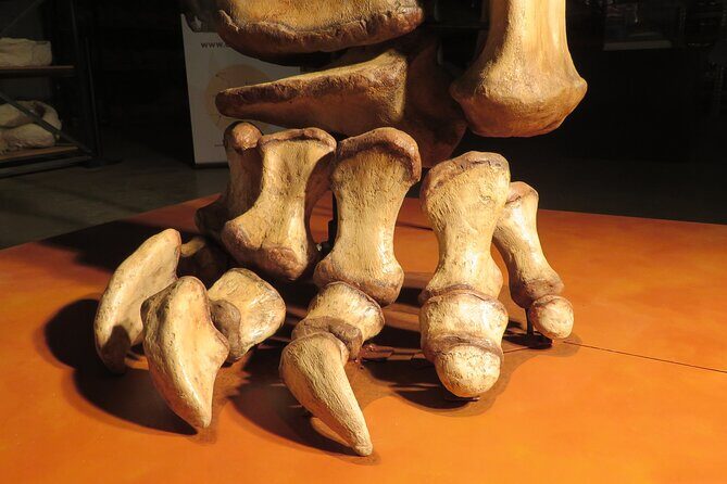 Australian Dinosaur Giants Tour - The Itinerary and What to Expect