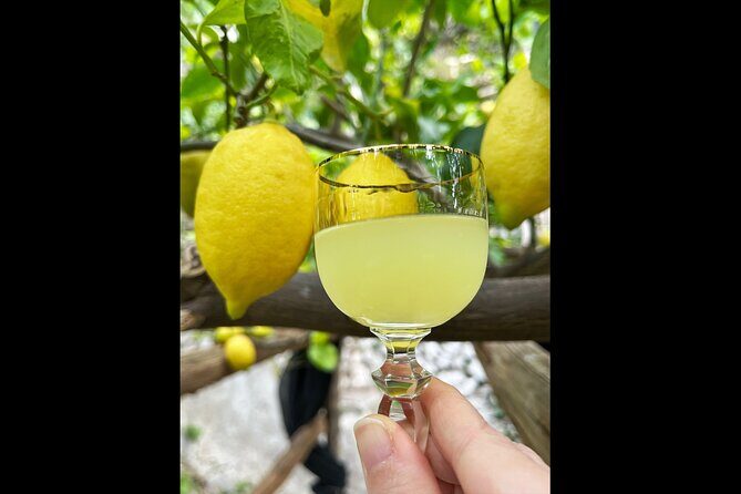 Authentic Amalfi Lemon Tour & Tasting in the Historical Garden - FAQ