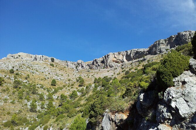 Authentic Andalusia - Jeep Eco Tour (pick up from Marbella - Estepona) - Frequently Asked Questions