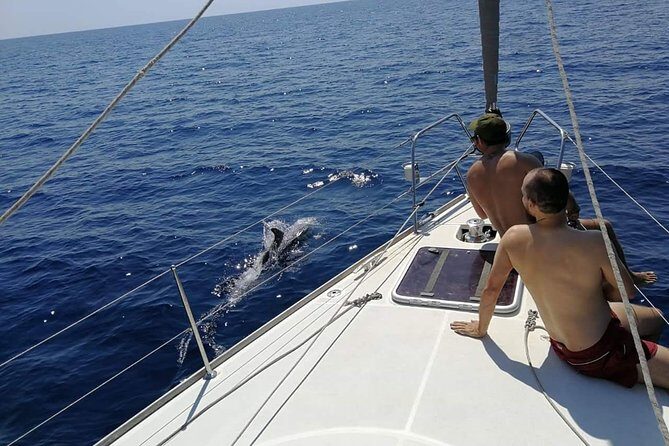 Authentic Barcelona Sailing Tour with Swim & Drinks - Navigating the Coastal Highlights