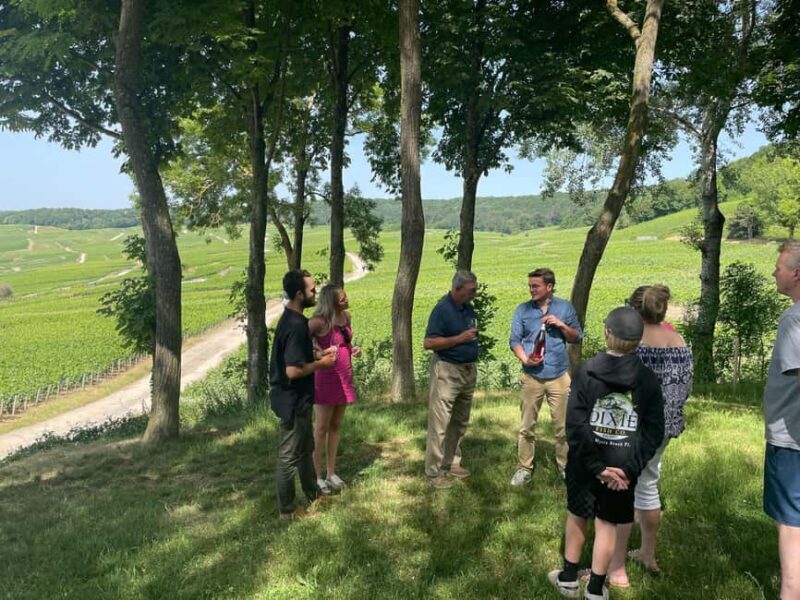 Authentic Champagne Tour: 3 vineyards, 10 Tastings & Lunch - What’s Included & What’s Not