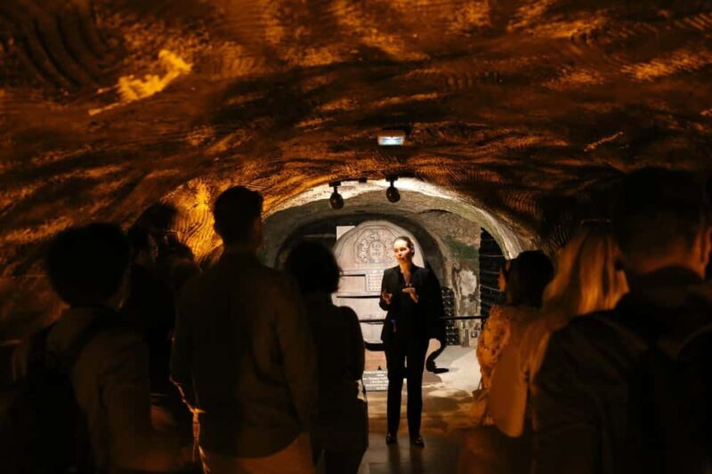 Authentic Champagne Tour: 3 vineyards, 10 Tastings & Lunch - The Real Deal: Value and Overall Impression