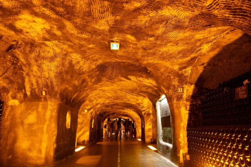 Authentic Champagne Tour: 3 vineyards, 10 Tastings & Lunch - FAQ