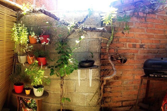 Authentic Cooking Class in Puerto Vallarta with Local Chef, Manu - An In-Depth Look at the Experience