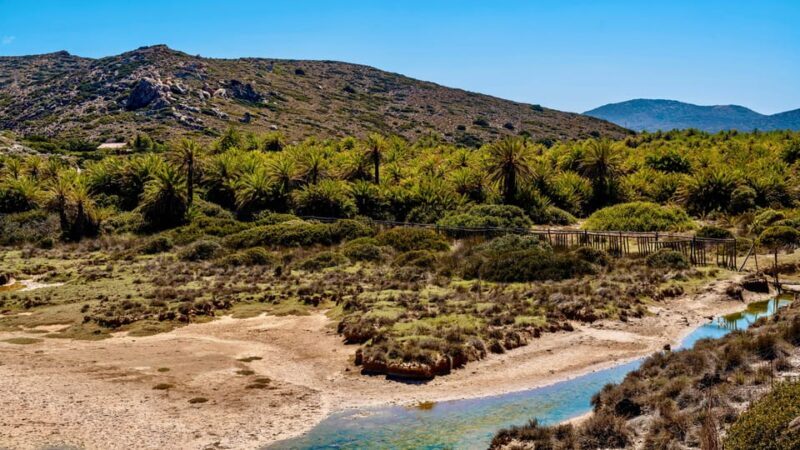 Authentic Crete: Cretan Honey & Wine Tasting & Village Tour - Practical Considerations