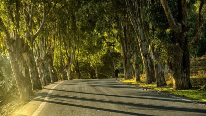 Authentic Crete in Winter: Minoan Farm, Winery and Monastery - Who Is This Tour Best For?