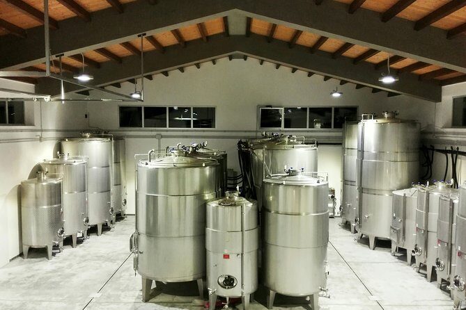 Authentic experience in organic winery - Key Points