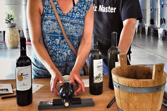 Authentic experience in organic winery - Exploring the Heart of Sicilian Wine at Quattrocieli