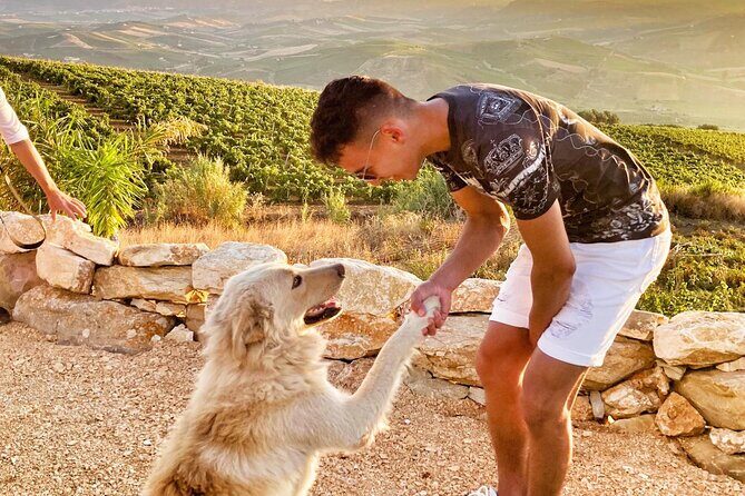 Authentic experience in organic winery - Practical Details