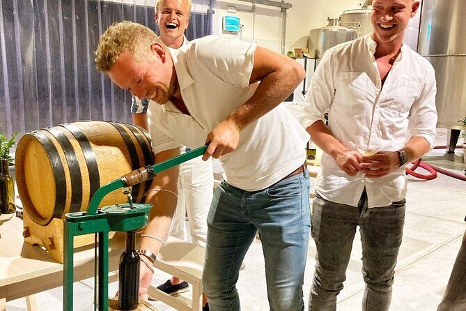 Authentic experience in organic winery - Who Would Love This Tour?